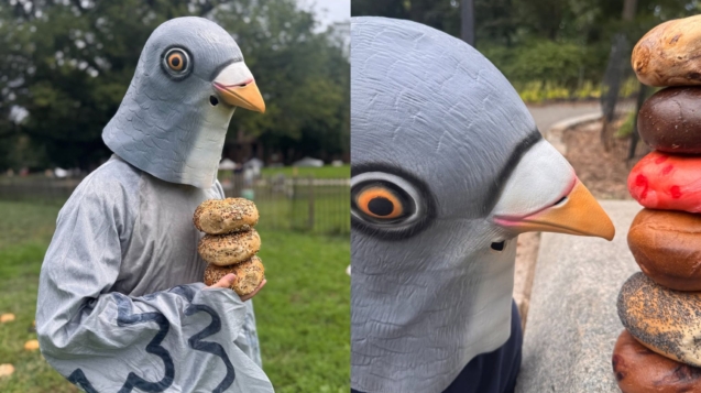 myrtle ave bagel pigeon